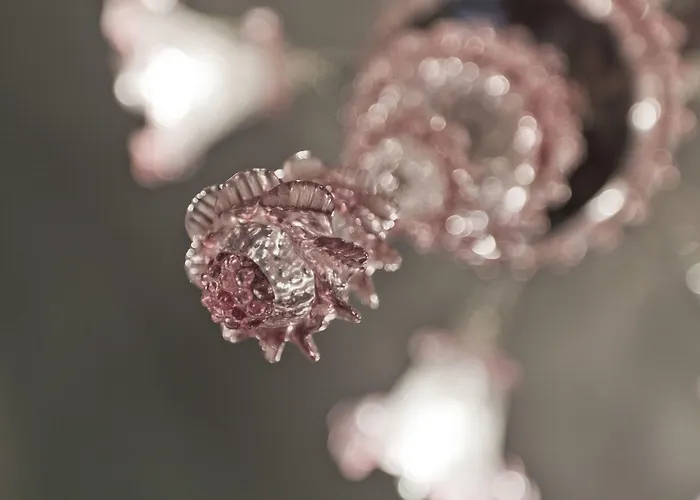 Palazzo Cendon Piano Antico Veneza